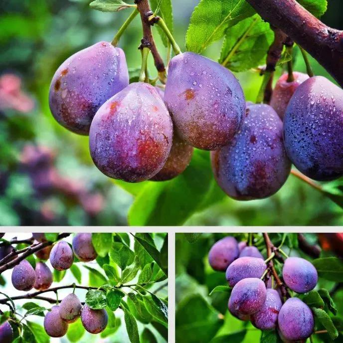 微信图片_20210907141136.jpg 微信图片_20210907141136.jpg